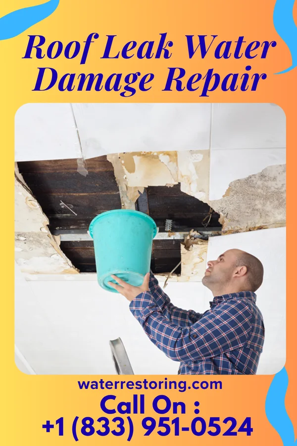 Roof Leak Water Damage Repair in Chinook, MT